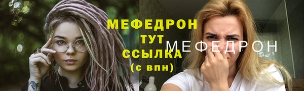 мдпв Ельня