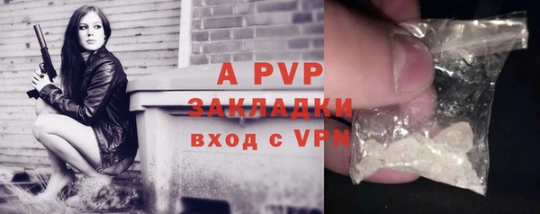 мдпв Ельня