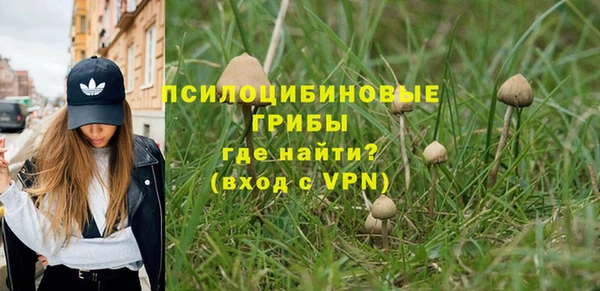 PSILOCYBIN Елизово