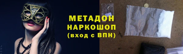 мдпв Ельня
