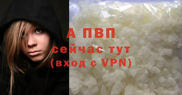 индика Осташков