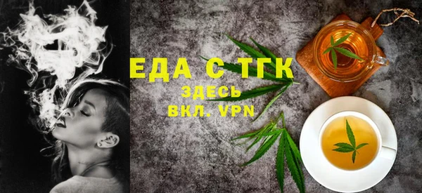 мдпв Ельня