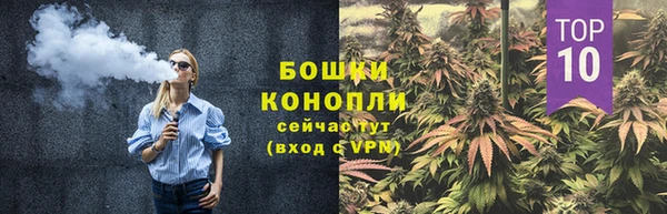 молекула духа Дмитриев
