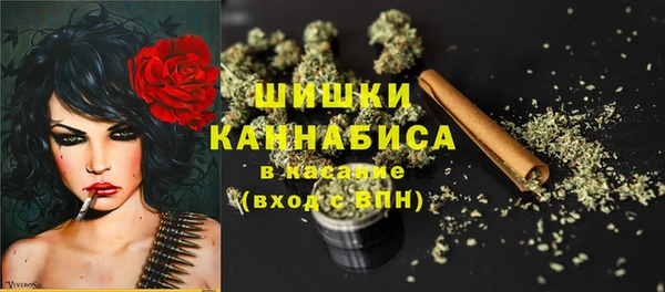 марки lsd Новозыбков