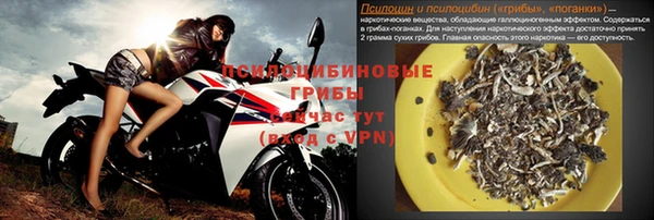 ALPHA PVP Новодвинск