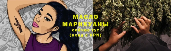 мдпв Ельня