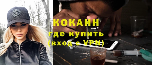 мдпв Ельня