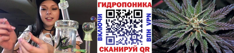 где можно купить наркотик  Отрадный  МАРИХУАНА AK-47 